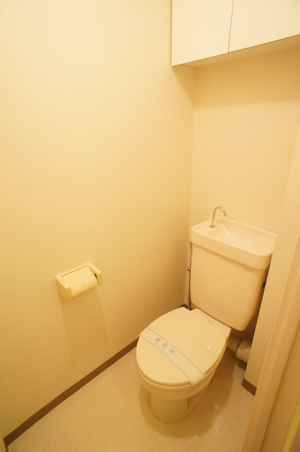 アビタシオンＩＳＨＩＤＡ0107号室 トイレ