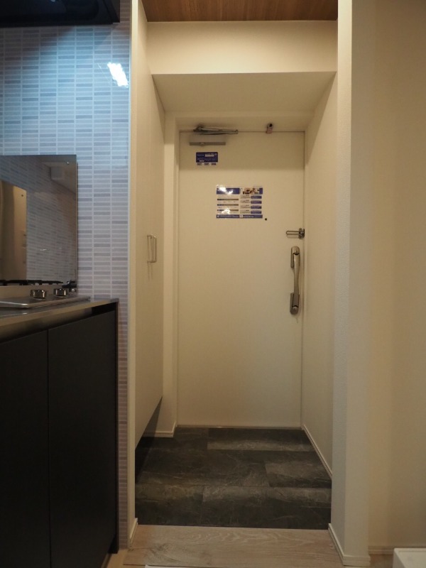 レジディア新御茶ノ水4階 玄関