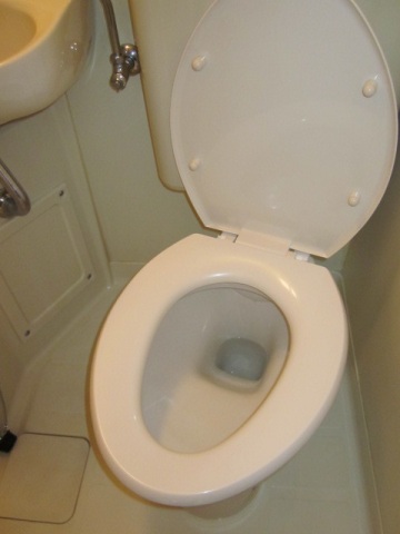 スカイコート東白楽304号室 トイレ