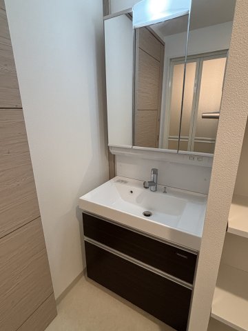 ＬＡＳＡ大崎Ⅴ0103号室 洗面