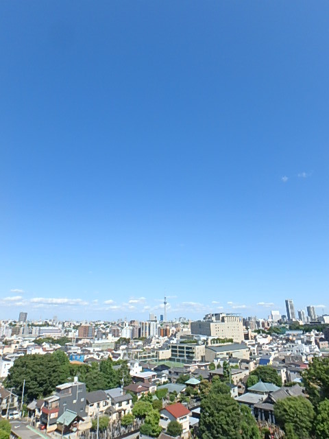 ロイヤルグリーン本郷12階 展望