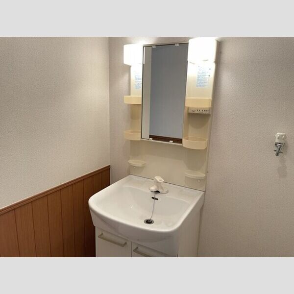 サンモール六実103号室 洗面所