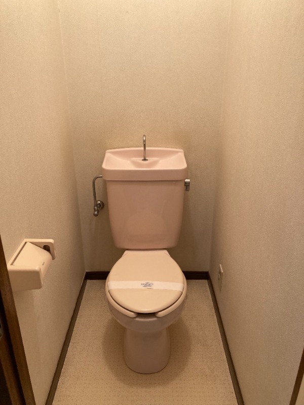 ヴェルドミール トイレ