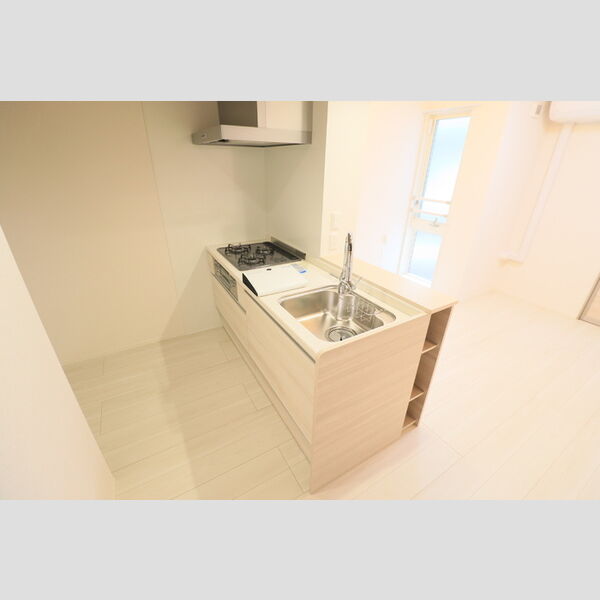 D Paina 中野島Ⅱ203号室 キッチン