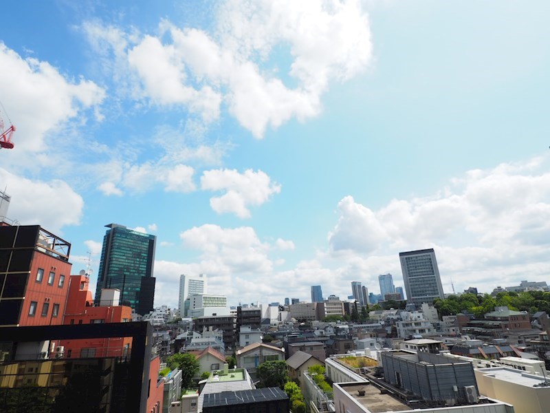 パークフラッツ渋谷代官山8階 部屋その他