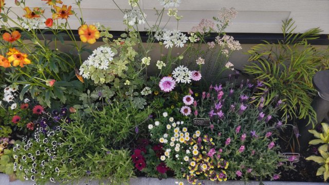 asagaya+A2号室 中庭のある生活