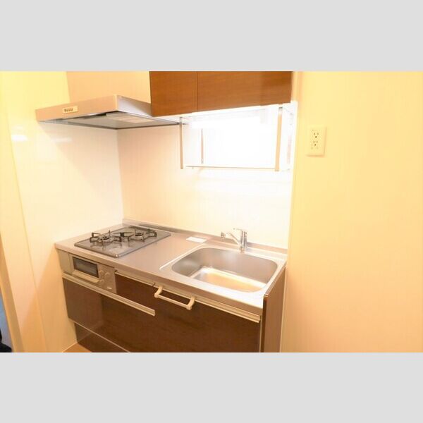 マ・メゾン鵠沼花沢　B205号室 3.1帖のシステムキッチン