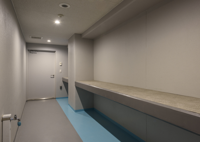 ガーラ・グランディ新丸子10階 その他共有部分