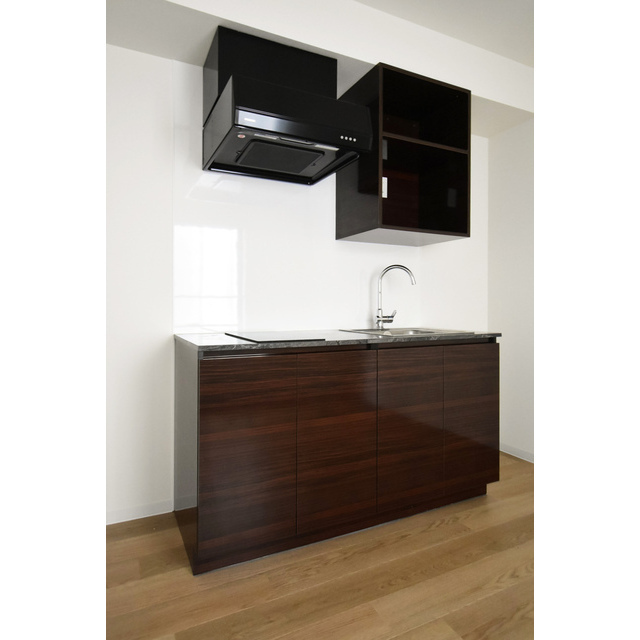 ＨＪ　ＰＬＡＣＥ神楽坂0304号室 キッチン