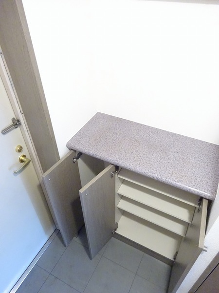 ライオンズマンション小岩第5228号室 収納