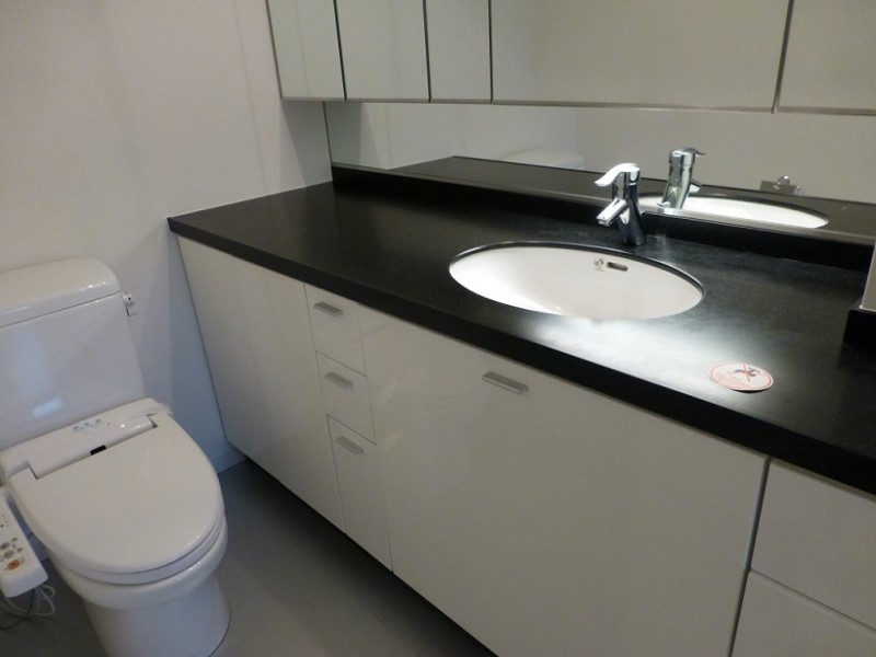 レジディア代官山 洗面