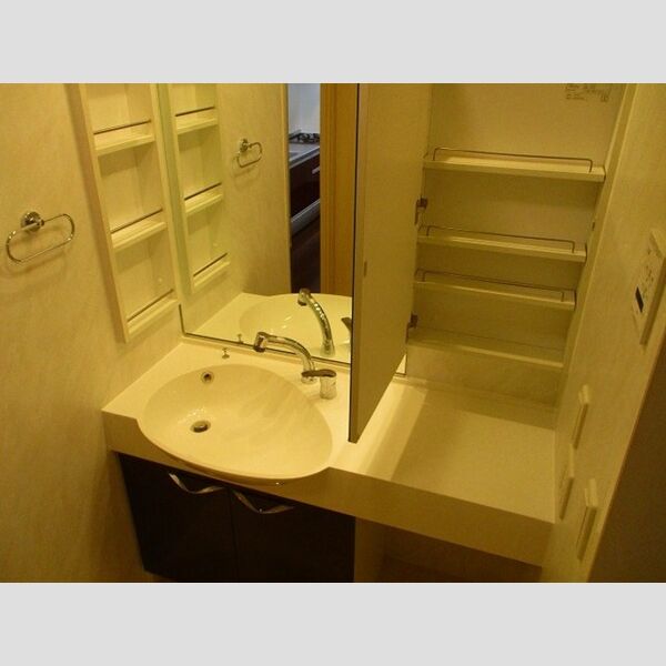 ヌーボイナリ金沢202号室 洗髪洗面化粧台(鏡面裏に収納棚ついております)