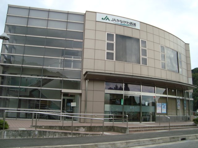 ステイブル JAかながわ西湘下中支店まで205ｍ