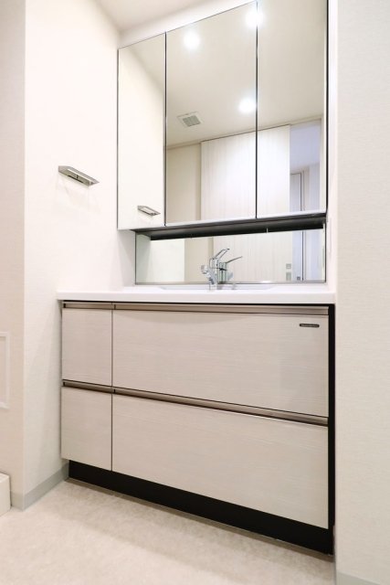 ザ・レジデンス蒲田アイリスコート 洗面