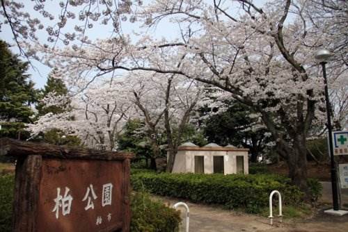 ジュネパレス柏第27 柏公園