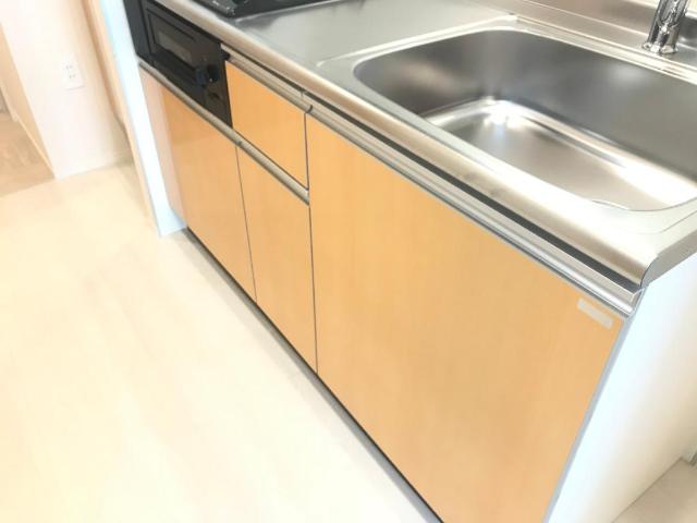 グランツハイト503号室 下部収納