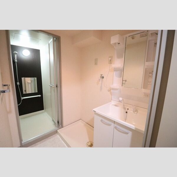 パレススリーゼ1A号室 洗髪洗面化粧台