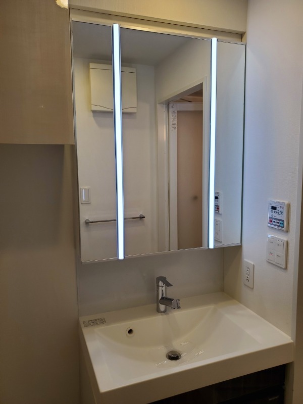 ドムス・スタイル神楽坂5階 洗面