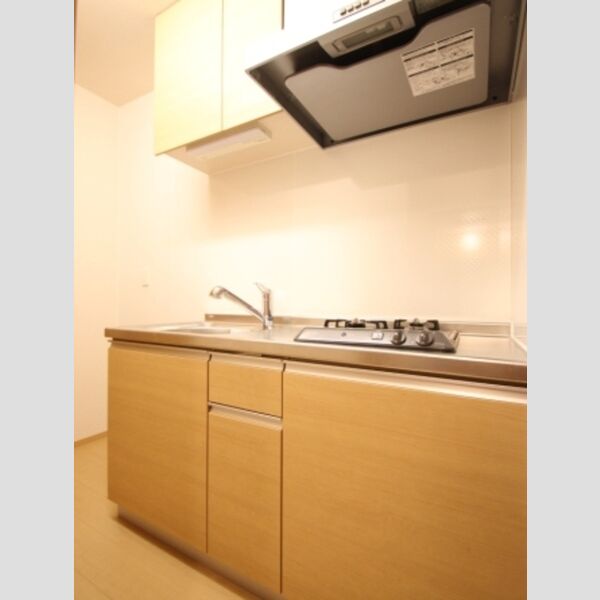 エスポワールⅡ 103 キッチン