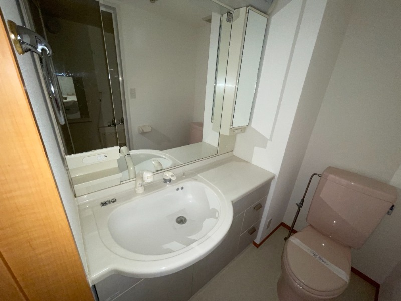 Ｌｅｘｕｓ成増 洗面