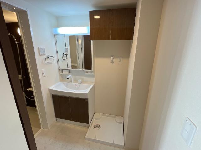 ルミナス　ケイポート103号室 洗面