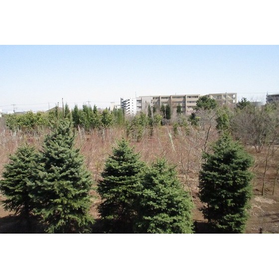 ドウェル砂川0201号室 眺望