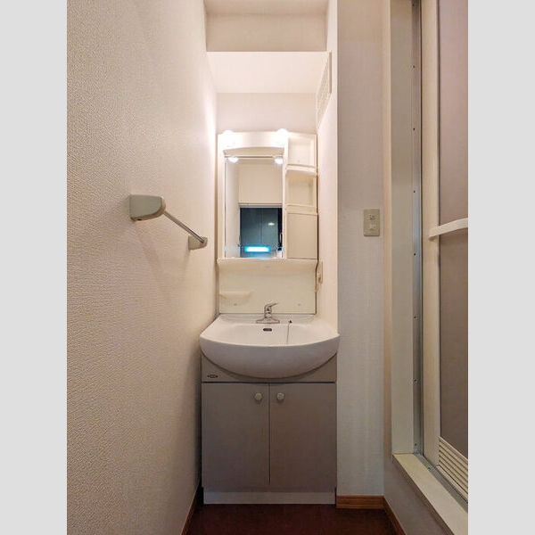 メゾン・ド・アレーズ202号室 独立洗面化粧台