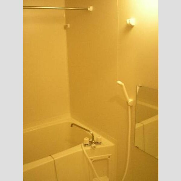 ルピナスコート柴崎302号室 浴室