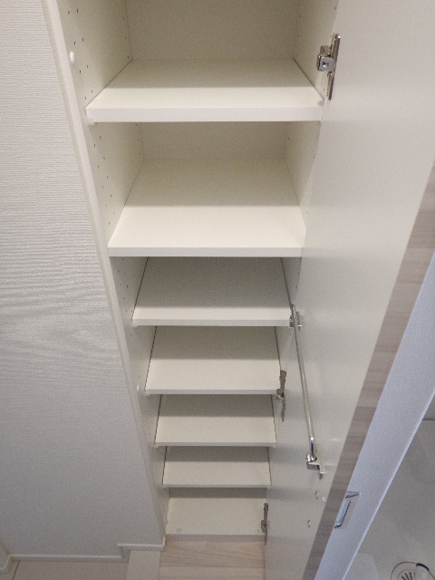 ガーラ・ヴィスタ水天宮前 こまごまとしたものを収納できそうですね