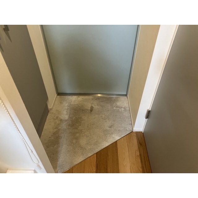 ＰＡＳＥＯ新宿三丁目Ⅱ0302号室 玄関