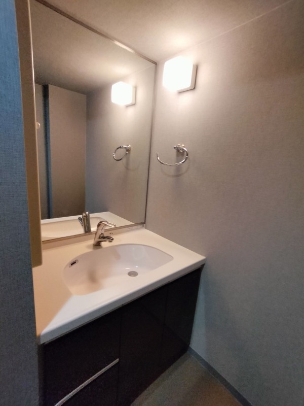 パテラスクエア金町10階 洗面