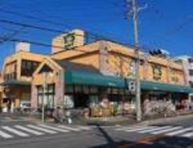 ラフィネパルク新浜0301号室 ワイズマート末広店