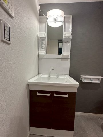 ベイルームグラシア海老名302号室 洗面