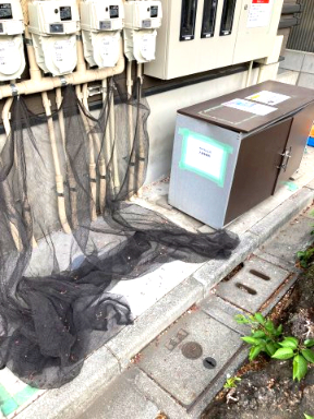 サクラヒルズ206号室 その他共有部分