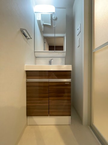 DIPS成増105号室 洗面
