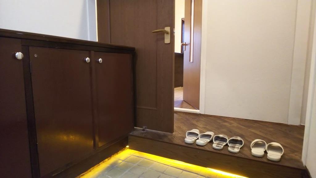 北欧風ヴィンテージリノベ戸建 玄関