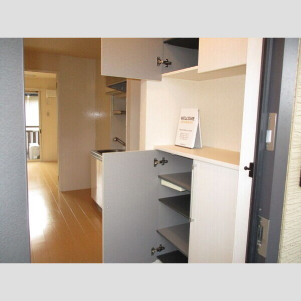 プルメリア シューズボックス