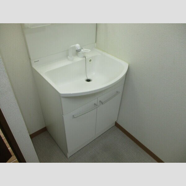 グラン・シャリオ101号室 洗髪洗面化粧台