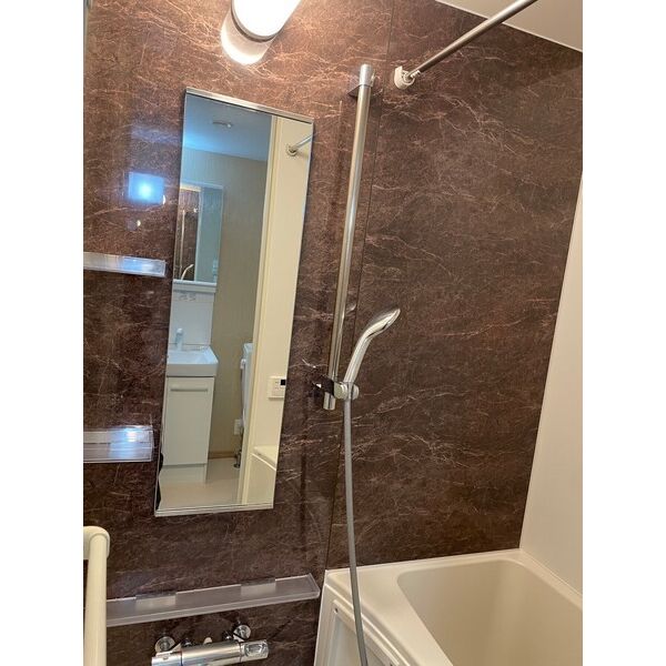 Sugar Grace Kawasaki301号室 部屋その他