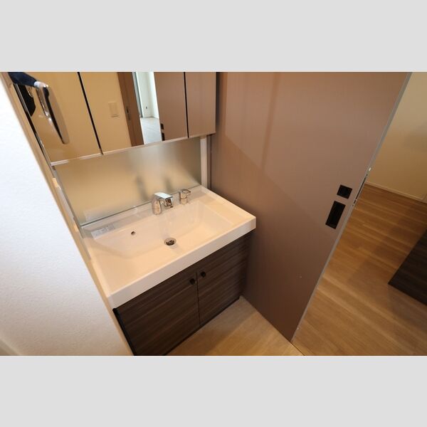 THE RejuvePort KISARAZU0803号室 洗髪洗面化粧台