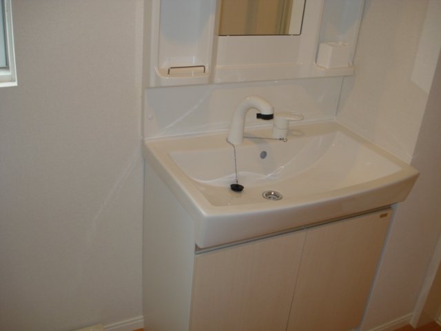 パインテール203号室 シャンプードレッサー（イメージ）