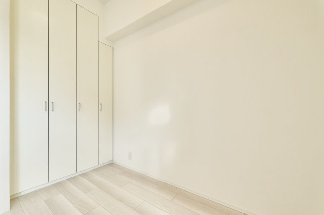 プラウドフラット亀戸ステーションプレイス305号室 収納