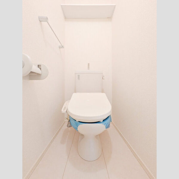 ザーパト・ポーリェ103号室 トイレ