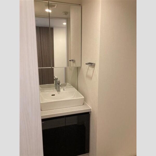 S-RESIDENCE新宿御苑1403号室 洗面