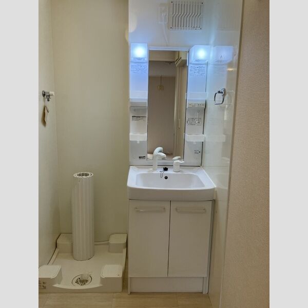 ライスフィールド　ハピネス　B102号室 洗面所