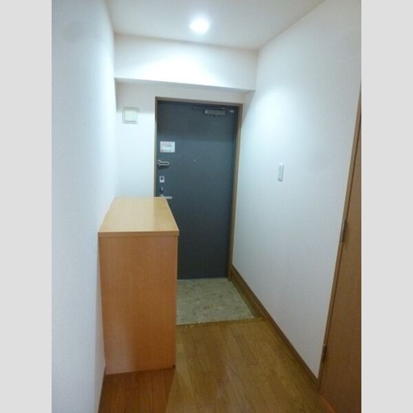エミナンス丸山台203号室 玄関