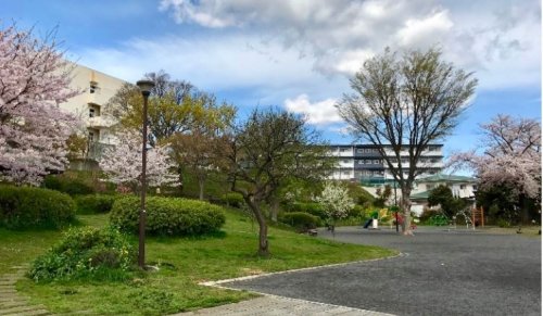 キトラハイム杉田101号室 【公園】杉田長作公園まで243ｍ