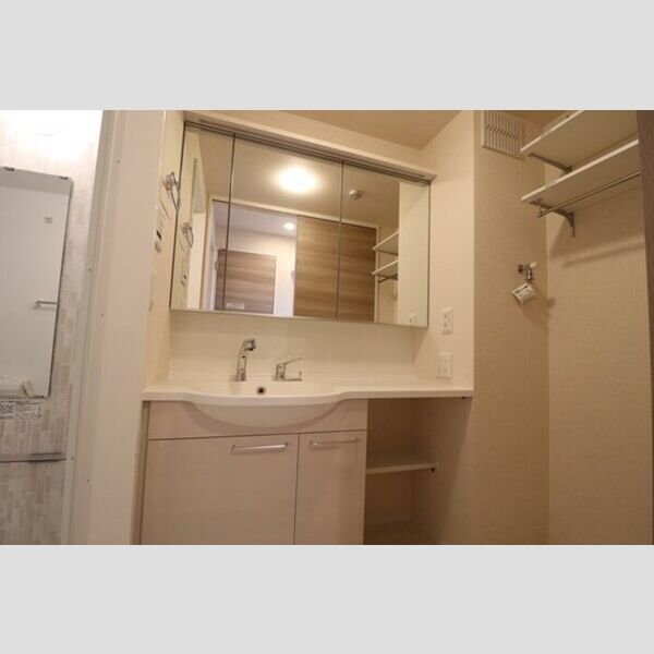 D-room Flower 洗髪洗面化粧台