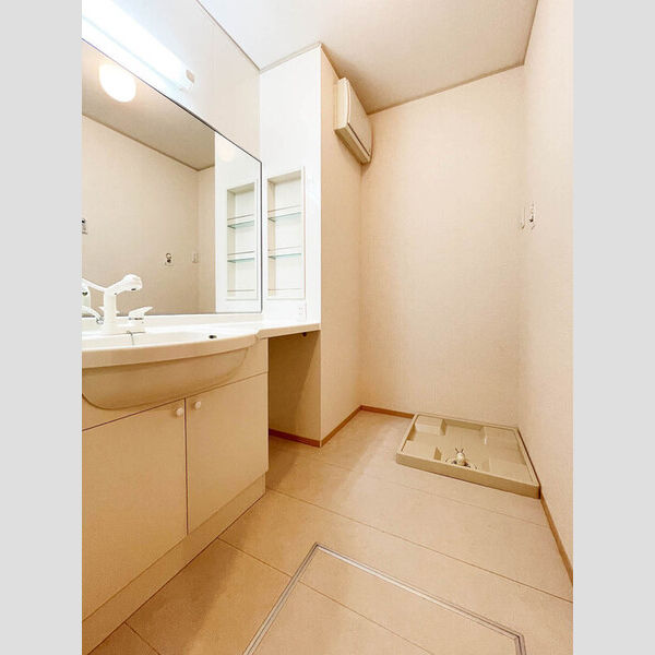 サンヴィレッジ中河原101号室 洗面