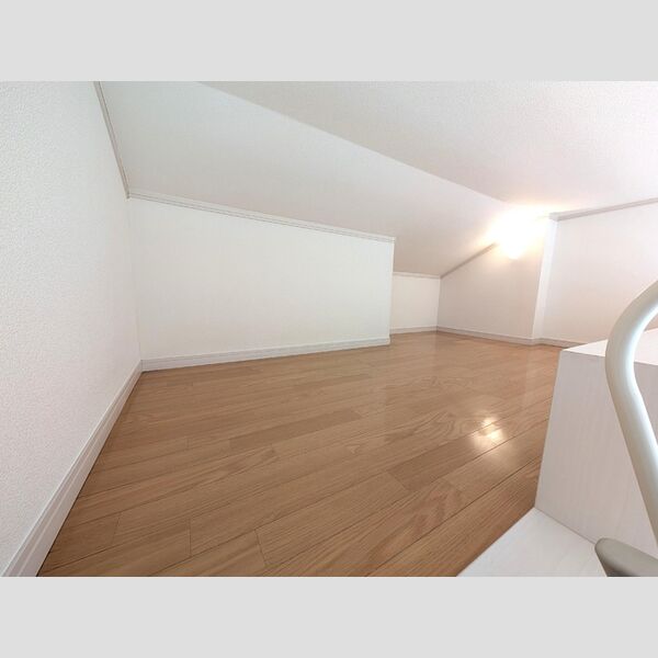 ハイツ岡沢　B203号室 ロフト